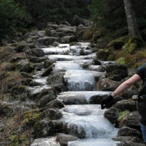 Meet your Posher, Nanda